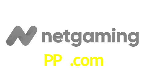 NetGaming